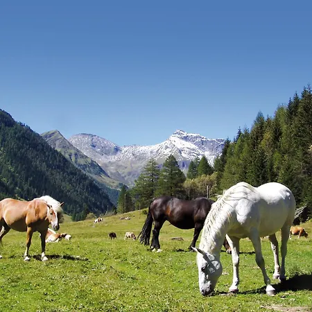 Appart hôtel Hohenberger - Tauernbad Und Sauna Im Winter Inklusive! 3*