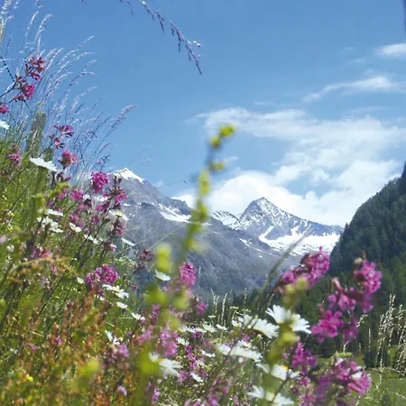 Lägenhetshotell Hohenberger - Tauernbad Und Sauna Im Winter Inklusive! Mallnitz