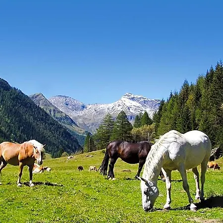 Hohenberger - Bahnhofsshuttle Bei An- Und Abreise Inklusive 4*