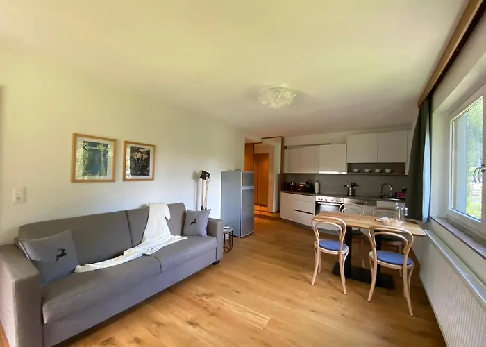 Aparthotel Hohenberger - Tauernbad Und Sauna Im Winter Inklusive!