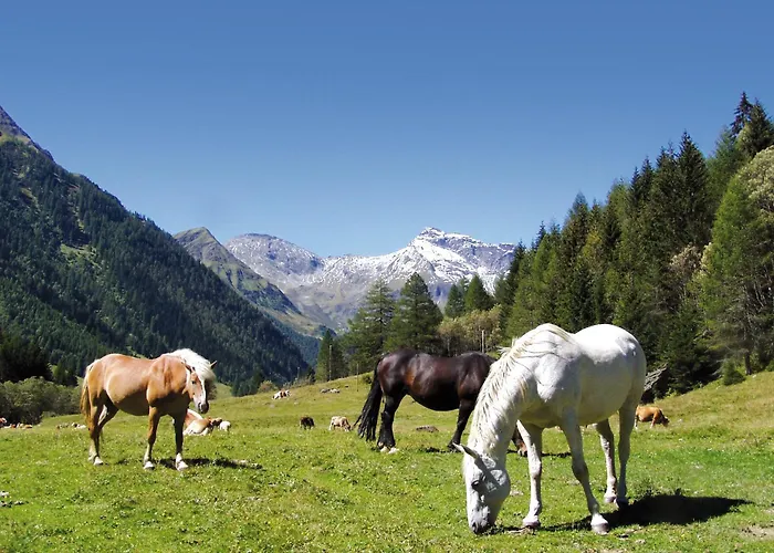 Aparthotel Hohenberger - Tauernbad Und Sauna Im Winter Inklusive! 3*