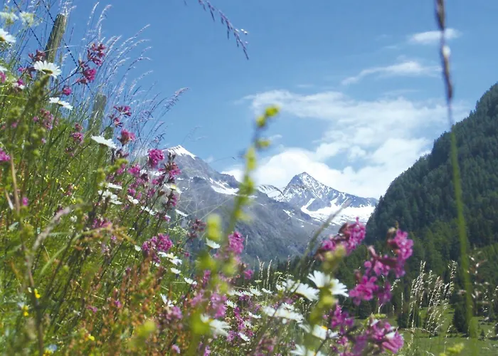 Aparthotel Hohenberger - Tauernbad Und Sauna Im Winter Inklusive! Mallnitz